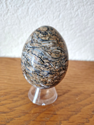 Rare fossil oyster - fossil, egg