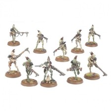 Kroot carnivores singles tau - -,
