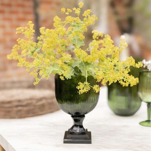 Emerald glass hurricane vase - hurricane,