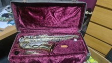 Alto saxophone with hard - saxophone,