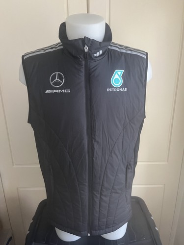 Mercedes amg petronas - amg, team