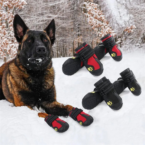 Anti slip dog - anti,
