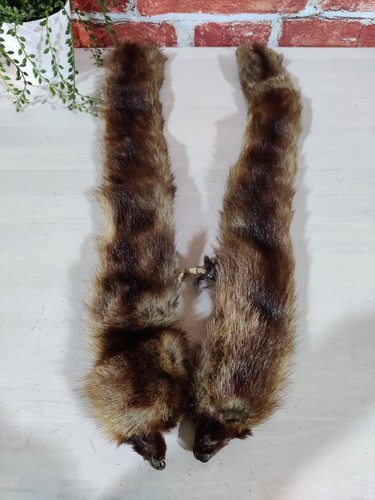 Vintage womens brown - womens, fur