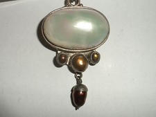 Iridescent  Nautilus Shell and