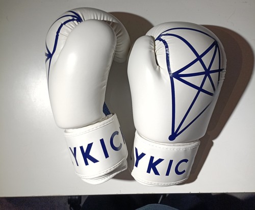 Fly kick sparring gloves white - fly,