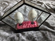 Chinese Hand Painted Glass Case Eggs Pair Large Republic Antique Vintage Unique