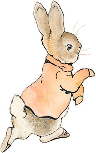 Peter rabbit watercolour - peter, wall