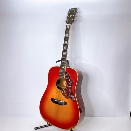 Morris acoustic guitar - morris, wh-20