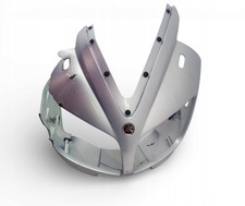 Yamaha FZS 600 Front Fairing 1