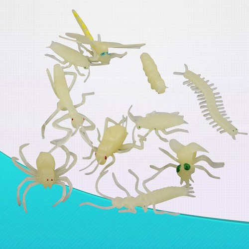 Pcs insects for - insects,