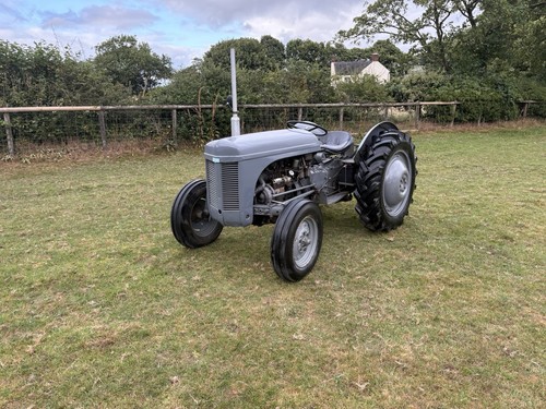 Grey ferguson tractor diesel - ferguson,