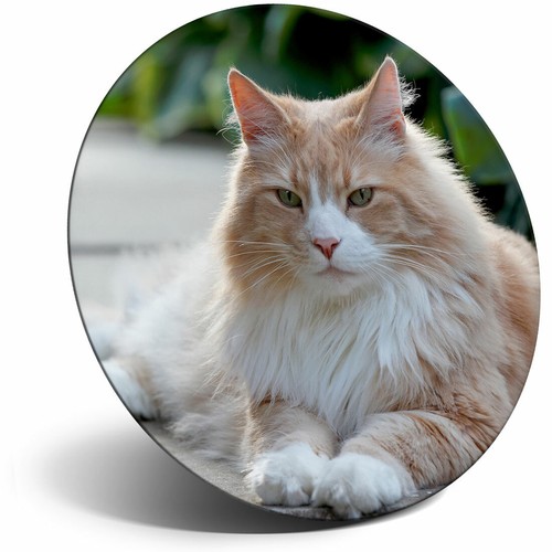 Awesome fridge magnet - fridge,