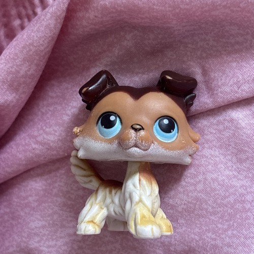 Littlest pet shop collie - #58,
