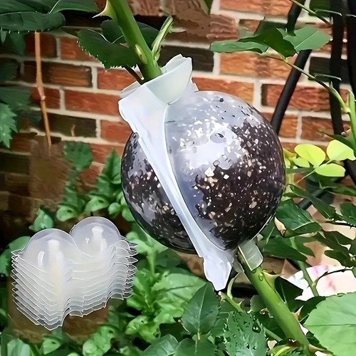 10pcs plant propagation - plant, box