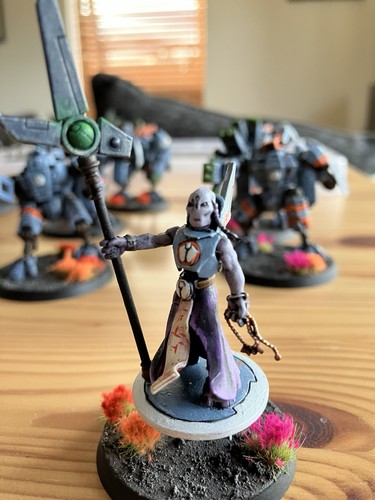 Well painted tau army - painted,