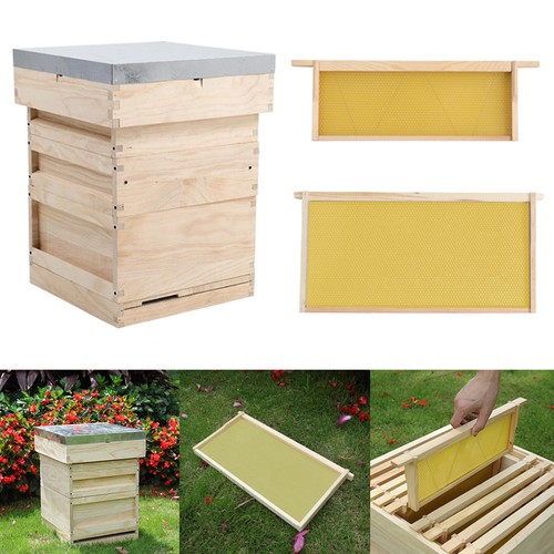 10x assembled national beehive - 10x,