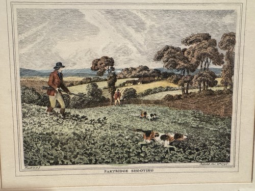 Partridge shooting samuel - partridge,
