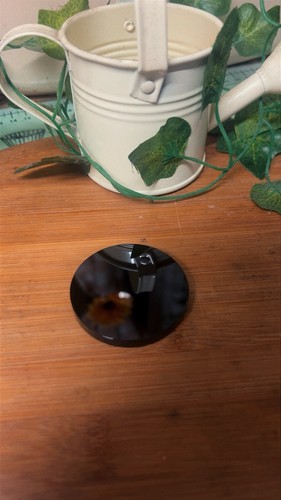 Polished obsidian crystal - polished,