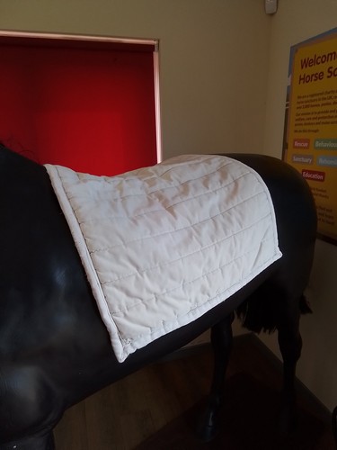 White polypads square saddle - polypads,