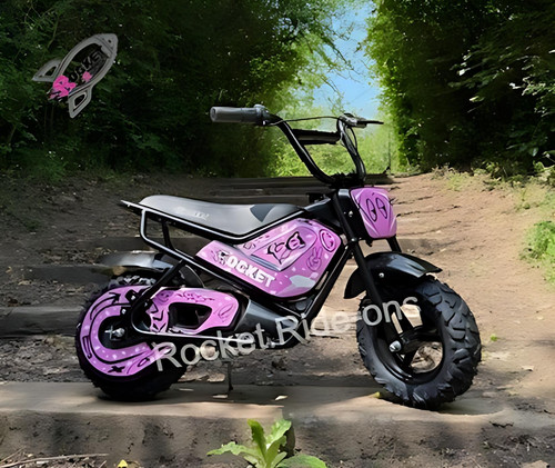 Kids 24v electric mini monkey - mini,