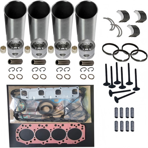 Overhaul rebuild kit - kit, set