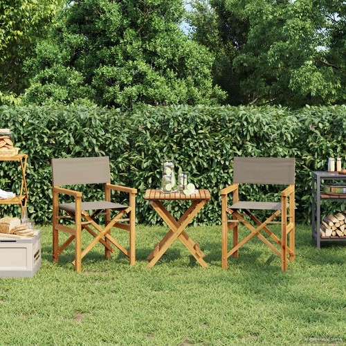 Vidaxl director chair 100 - director,