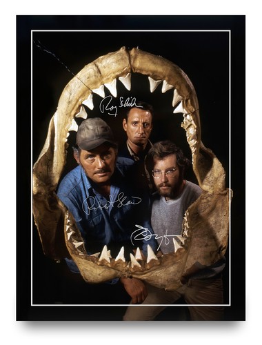 Shaw dreyfuss signed - signed, jaws