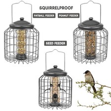 Squirrel proof hanging bird - proof,