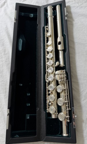 Advanced intermediate flute - advanced/intermediate,