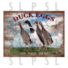 Duck Eggs On Sale Here Retro Metal Aluminium Sign, Novelty Gift Home Décor Shop