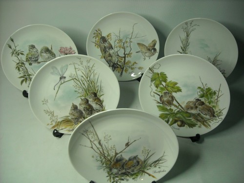 Choose one more plates - choose, or
