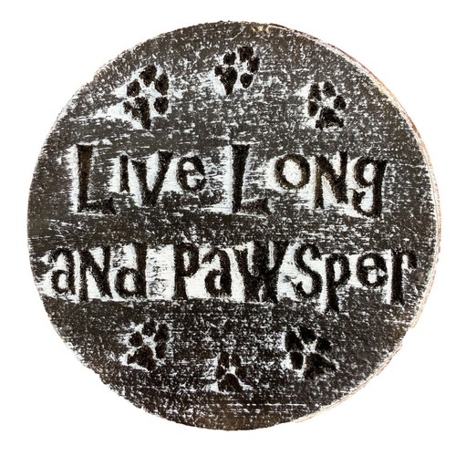 Dog cat plaque - , mold