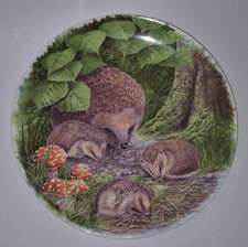 WEDGWOOD A Prickly Problem ~ In Woodland Glades by Dorothy Wallace ~Danbury Mint