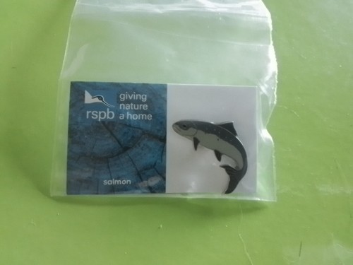 Rspb pin badges - rspb,