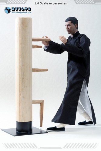 Man wing chun stun - ip,