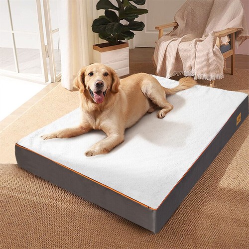 Extra thick orthopedic dog - extra,