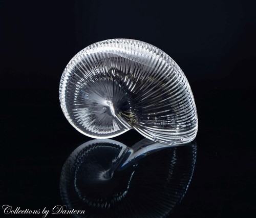 Baccarat nautilus shell clear - shell,