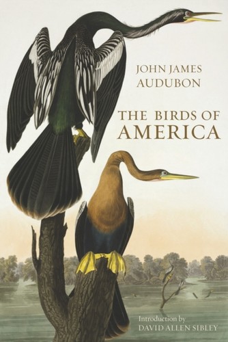 The birds america - the, john