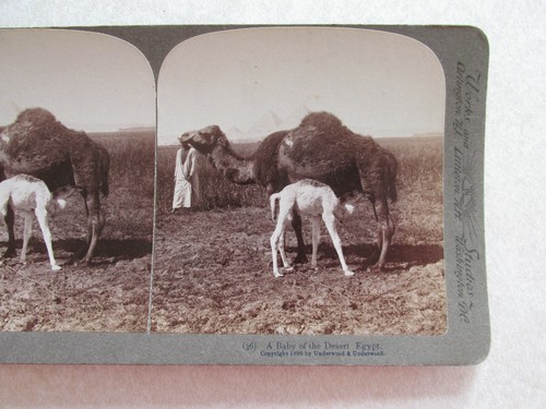 Sv400 stereoview photo card - sv400,