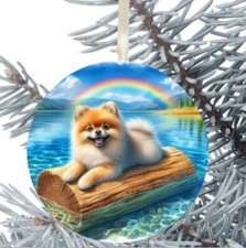 Pomeranian Dog Puppy Dog