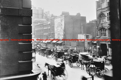 F002110 horse drawn vehicles - horse,