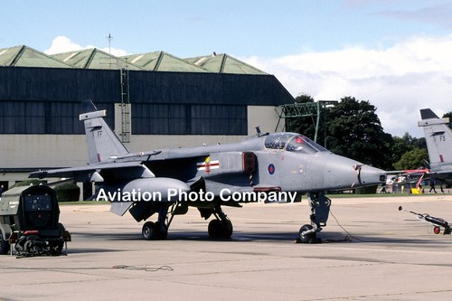 Raf squadron sepecat jaguar - 41,