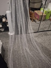 Off white veil, cathederal length, brand new