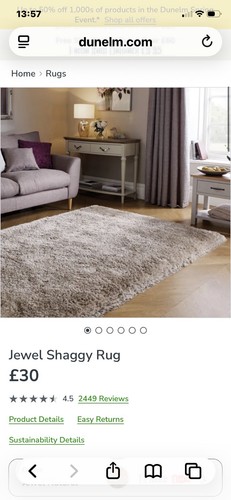Dunelm jewel shaggy rug 60cm - 60cm, x