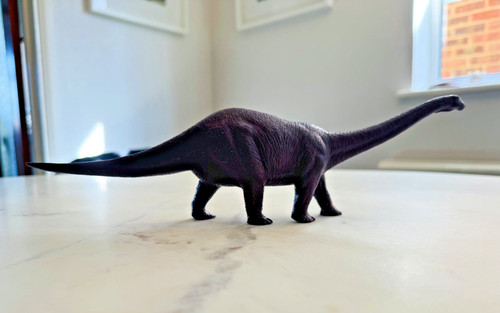 Vintage cetiosaurus british - vintage,