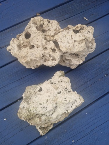 6kg aquarium ocean rock - aquarium,