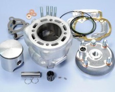 140.0208 CYLINDER POLINI BIG