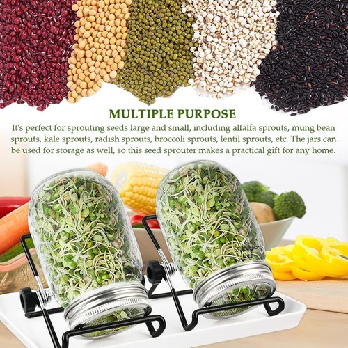 32oz sprouting jar lid kit - 32oz,