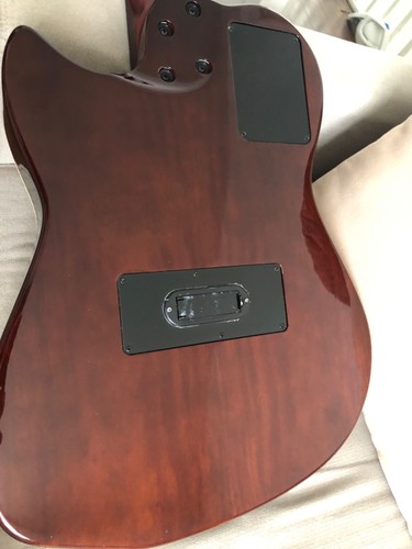 Godin multiac nylon guitar - godin,