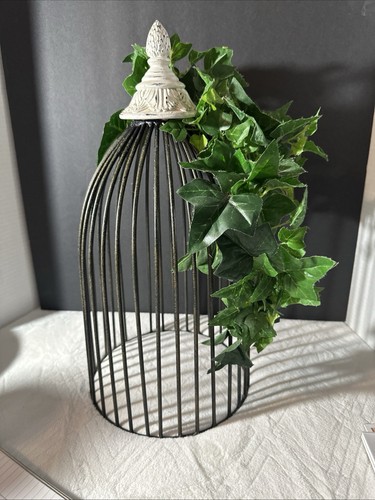 Decorative metal bird cage - metal,